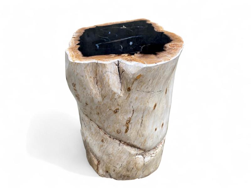 HOCKER AUS FOSSILEM HOLZ MIT POLIERTEM FINISH LUX