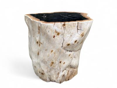 TABOURET EN BOIS FOSSILE - LUX