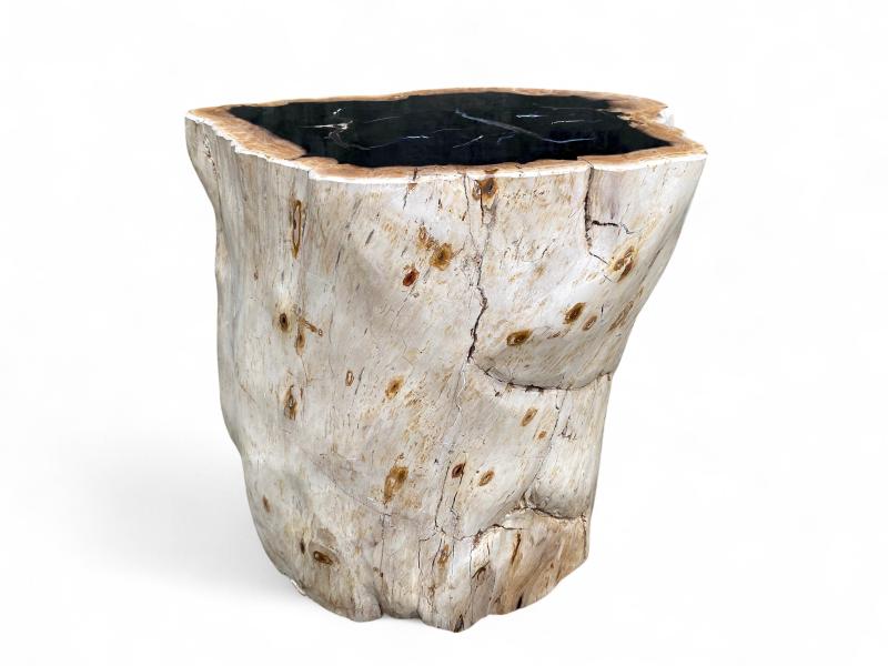FOSSIL WOOD STOOL - LUX