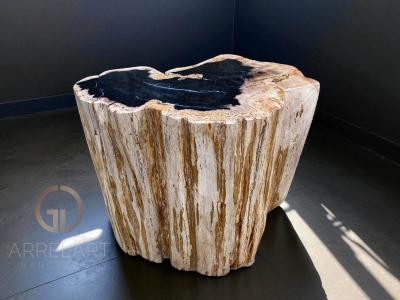 POLISHED PETRIFIED WOOD STOOL LEVANI