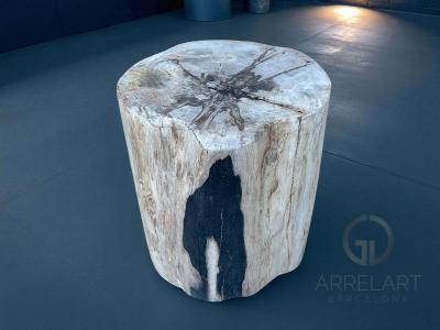 SOLID STOOL OF PETRIFIED WOOD