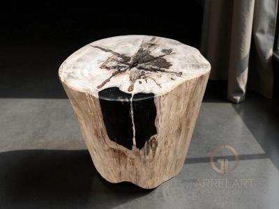 BLACK PETRIFIED WOOD SIDE TABLE