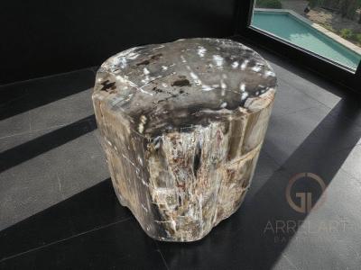 TABLE BASSE EN BOIS FOSSILISE CROWN