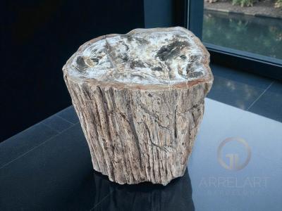 BEISTELLTISCH AUS VERSTEINERTEM HOLZ BLANCHE