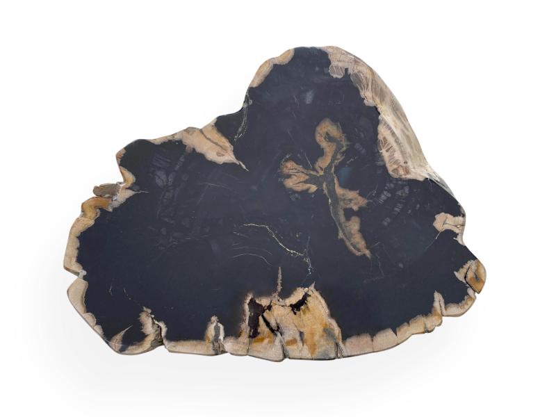 DECORATIVE PETRIFIED WOOD STOOL