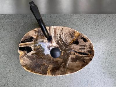 VERY FINE PETRIFIED WOOD WASHBASIN JEWEL