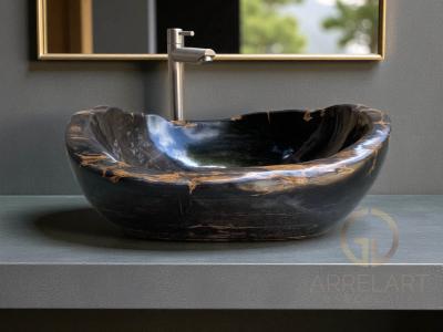 PETRIFIED WOOD SINK PARIS