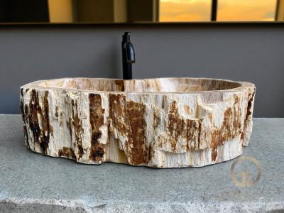 WASHBECKEN AUS VERSTEINERTEM HOLZ CARINTIA