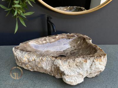 EXCLUSIVE PETRIFIED WOOD SINK CAMEROON