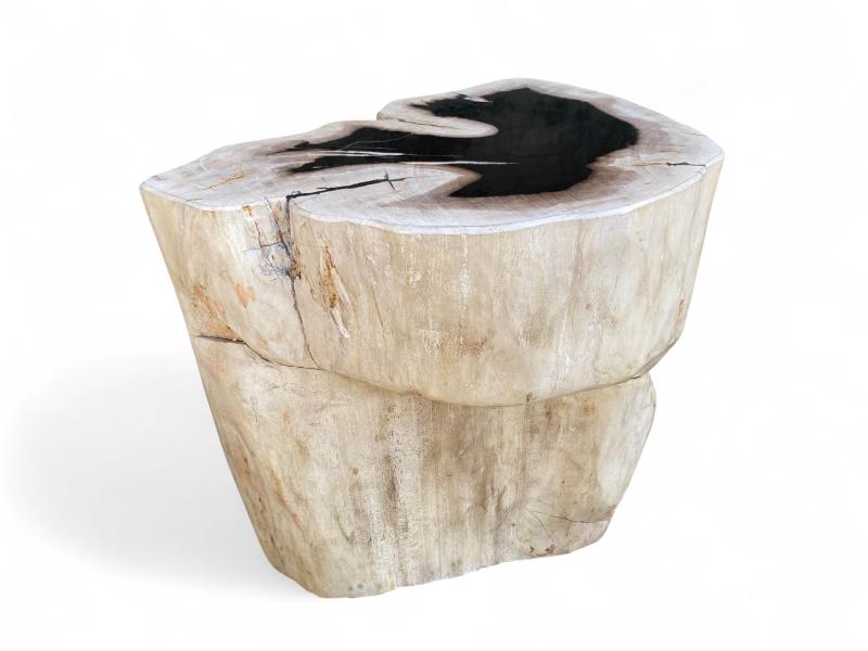 FOSSIL STONE STOOL BREMEN