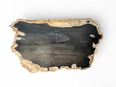 BLACK TABLE OF FOSSIL STONE INNSBRUCK
