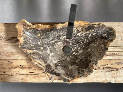 VASQUE DE BAIN EN BOIS FOSSILISÉ MALIBÚ