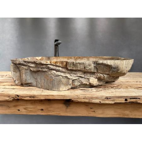 Waschbecken Aus Versteinertem Holz