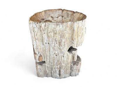 STANDING SINK PETRIFIED WOOD