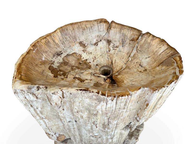 FREISTEHENDE WASCHBECKEN VERSTEINERTES HOLZ KAUFEN - ARRELART