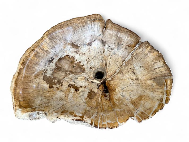 COMPRAR LAVABO DE PIE MADERA PETRIFICADA