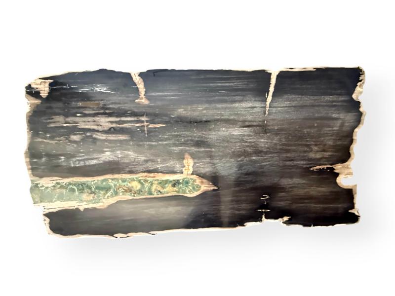 Dettaglio tavolo fossile