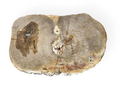 FOSSIL STONE COFFEE TABLE NAPLES