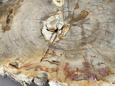 FOSSIL STONE COFFEE TABLE NAPLES