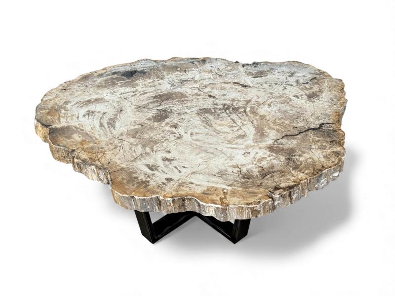 MESA DE CENTRO DE TRONCO DE ÁRBOL PETRIFICADO MOOREA