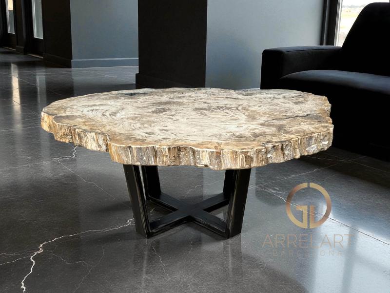 MESA DE CENTRO DE TRONCO DE ARBOL PETRIFICADO MOOREA