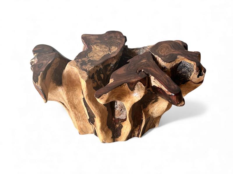 RACINE POUR TABLE BASSE SION