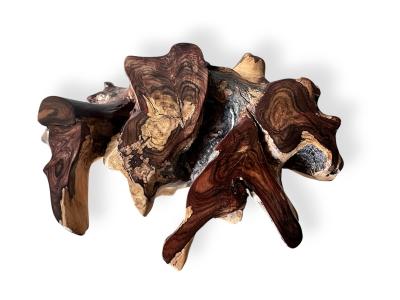 WURZEL FUR COUCHTISCH SION