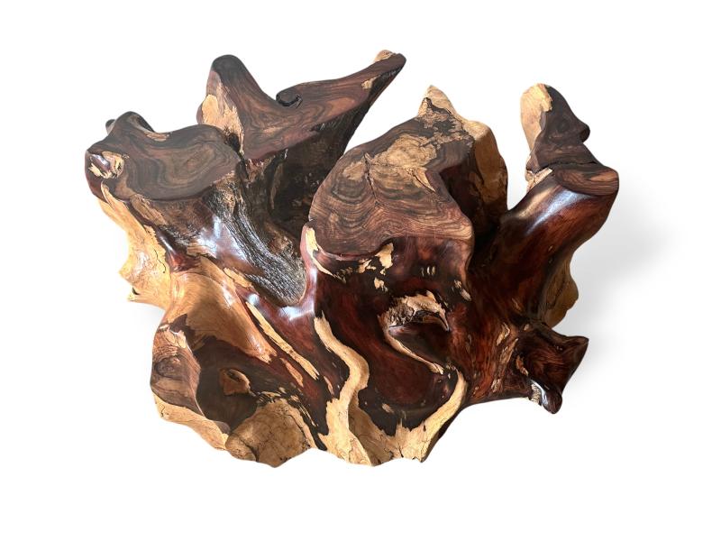 ROOT FOR COFFEE TABLE SION