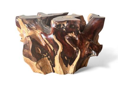 ROOT FOR COFFEE TABLE SION