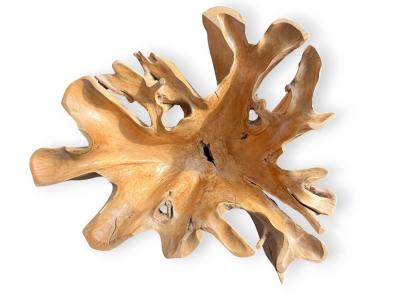 RADICE IN LEGNO NATURALE TAORMINA