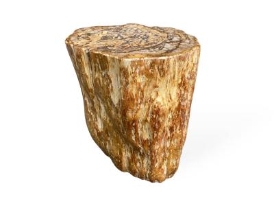 VERSTEINERTER HOLZTISCH TALASA