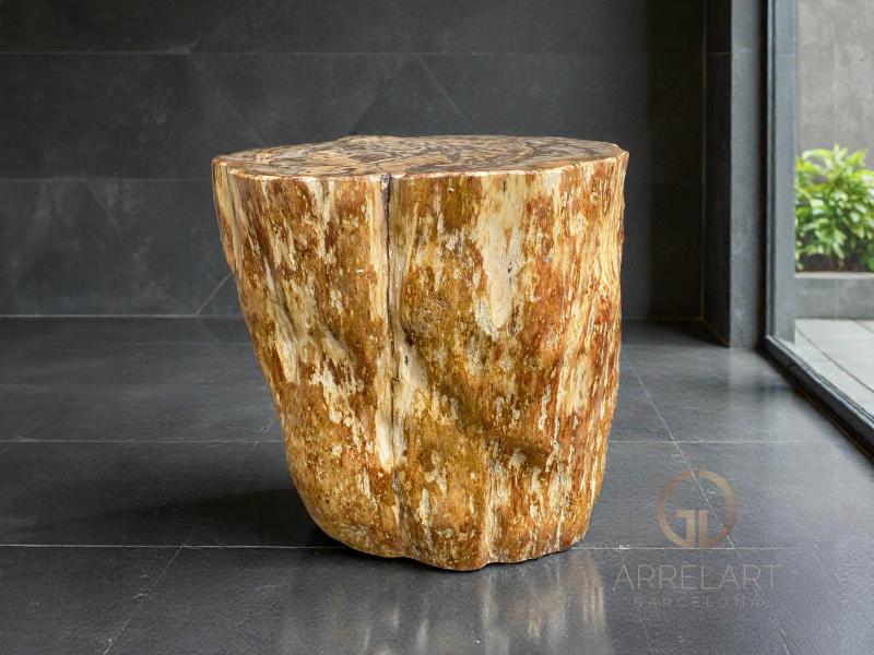 PETRIFIED WOOD SIDE TABLE TALASA