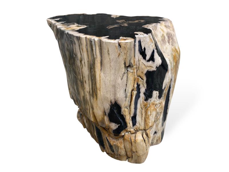 EXCLUSIVE DECORATIVE PETRIFIED WOOD STOOL