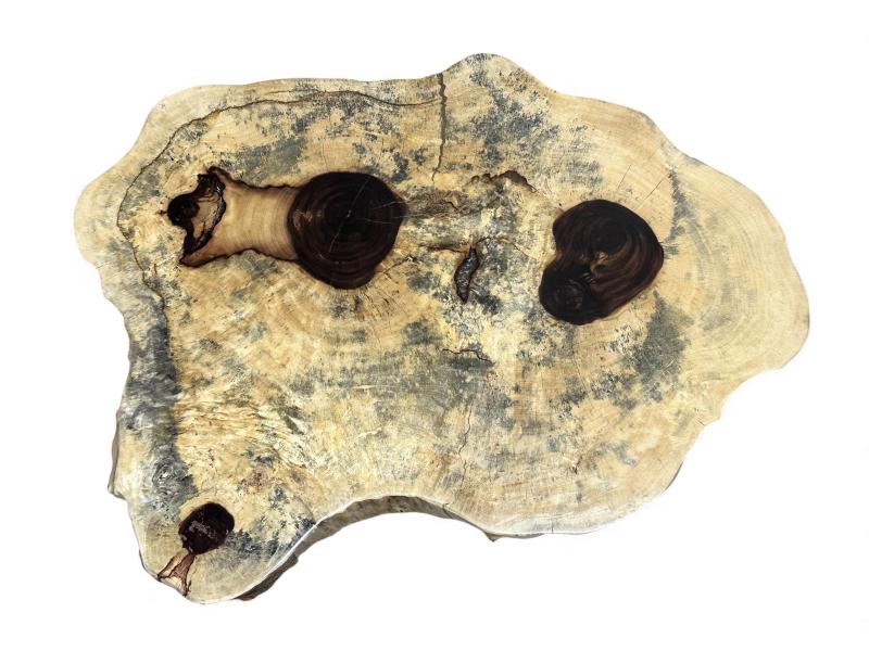 TAULA DE CENTRE DE FUSTA DE TAMARINDE BIBURY