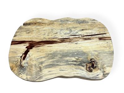 EXOTIC RUSTIC WOOD COFFEE TABLE