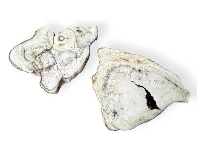 PAREJA DE DOS MESAS STUTTGART