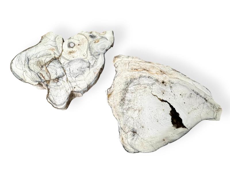 PAREJA DE DOS MESAS STUTTGART