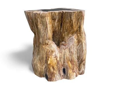 Taburete Orgánico de Xilópalo Natural - Arrelart