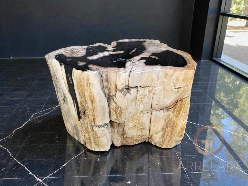 EXKLUSIVER HOCKER AUS VERSTEINERTEM HOLZ NARBONA