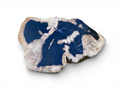 EXCLUSIVE PETRIFIED WOOD STOOL NARBONA