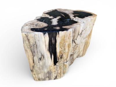 EXKLUSIVER HOCKER AUS VERSTEINERTEM HOLZ NARBONA