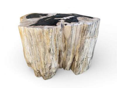 SGABELLO ESCLUSIVO IN LEGNO PETRIFICATO NARBONA