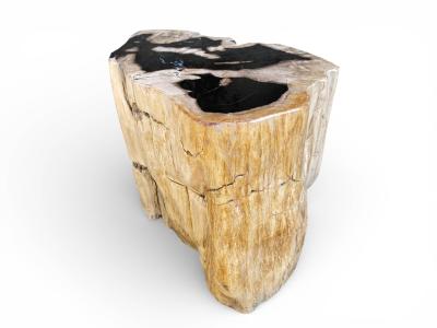 EXKLUSIVER HOCKER AUS VERSTEINERTEM HOLZ NARBONA