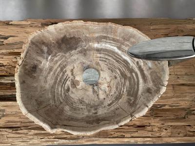 PETRIFIED WOOD SINK CHAGULAK