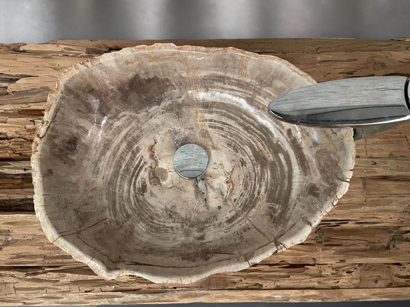 LAVANDINO IN LEGNO PIETRIFICATO CHAGULAK