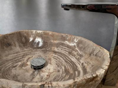 WASHBECKEN AUS VERSTEINERTEM HOLZ CHAGULAK