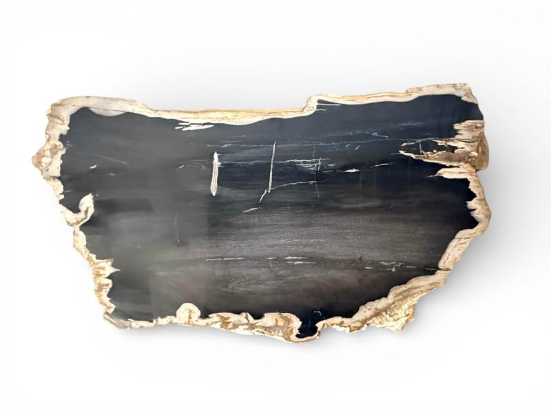 COFFEE TABLE IN PETRIFIED WOOD LUXOR