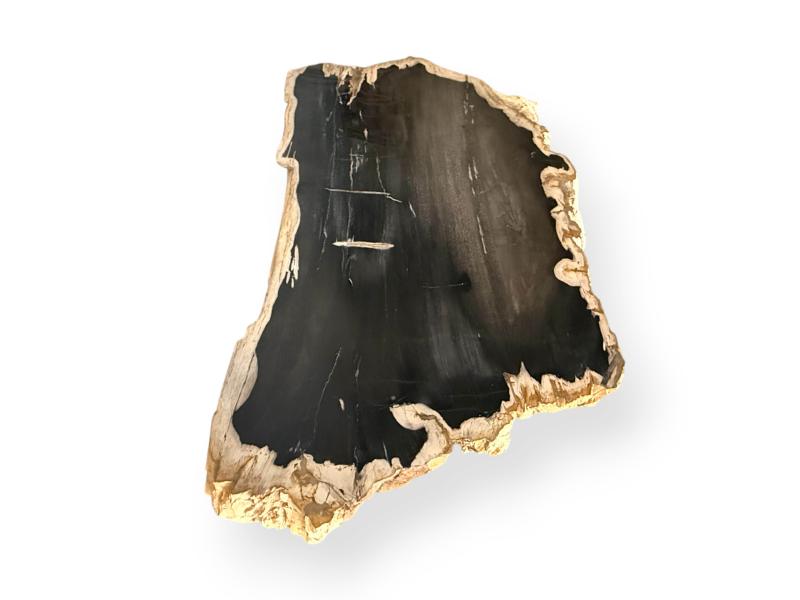 MESA DE CENTRO DE MADERA PETRIFICADA LUXOR