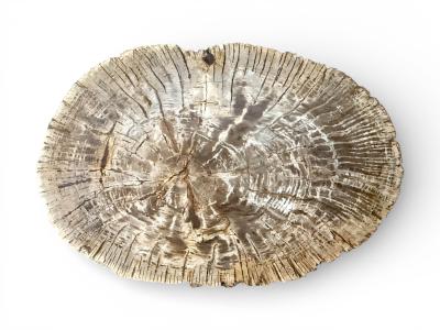 COFFEE TABLE IN BEIGE STONE - HAMBURG