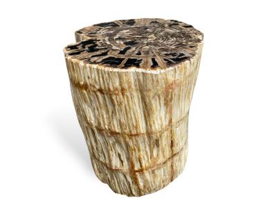 SGABELLO GIOIELLO IN LEGNO PIETRIFICATO GRIMAUD